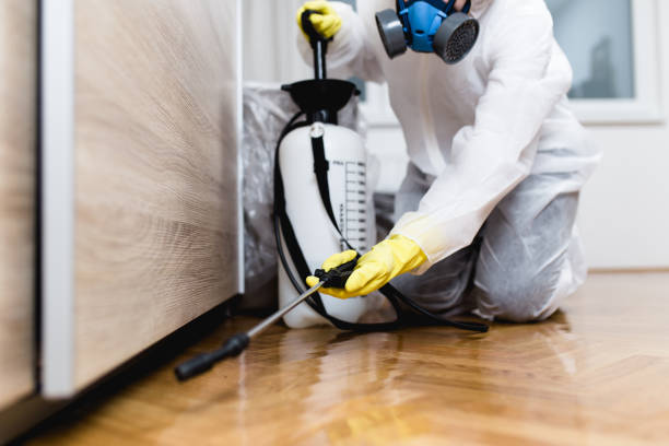 Best Cockroach Control Services  in Fairview Heights, IL